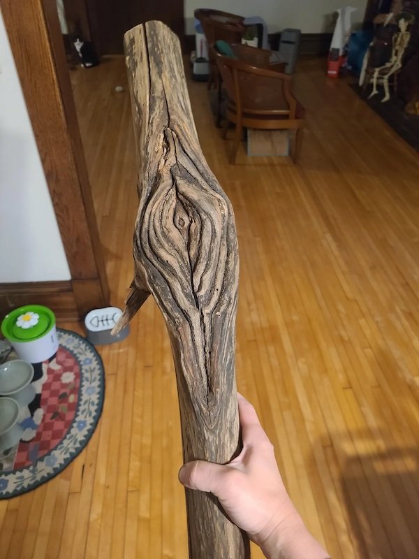 Epic Sticks (25 pics) Epic Sticks (25 pics)