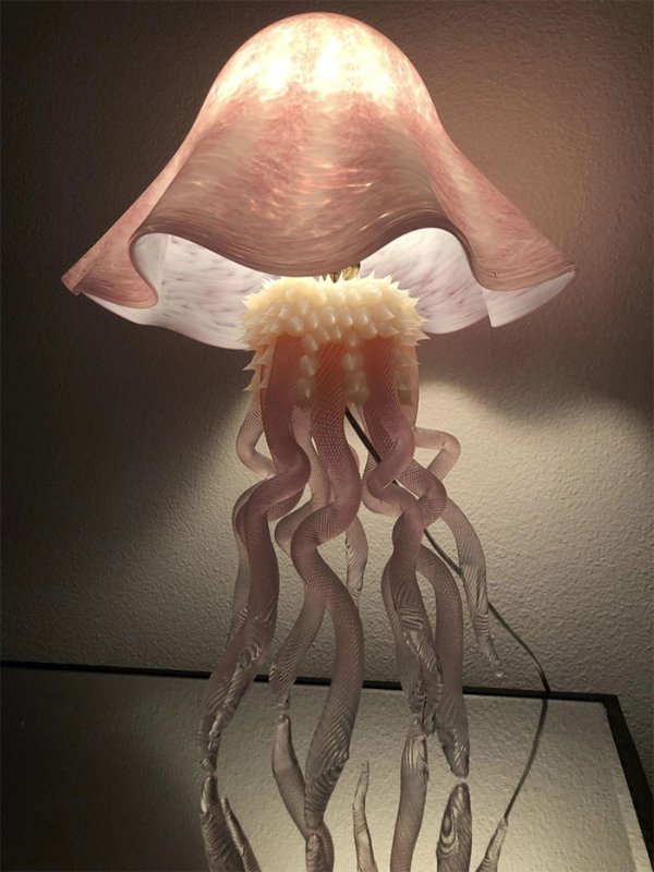 Weird Finds In Thrift Shops (25 pics)