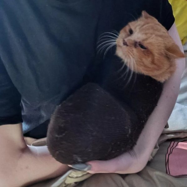 Interesting Finds (24 pics)