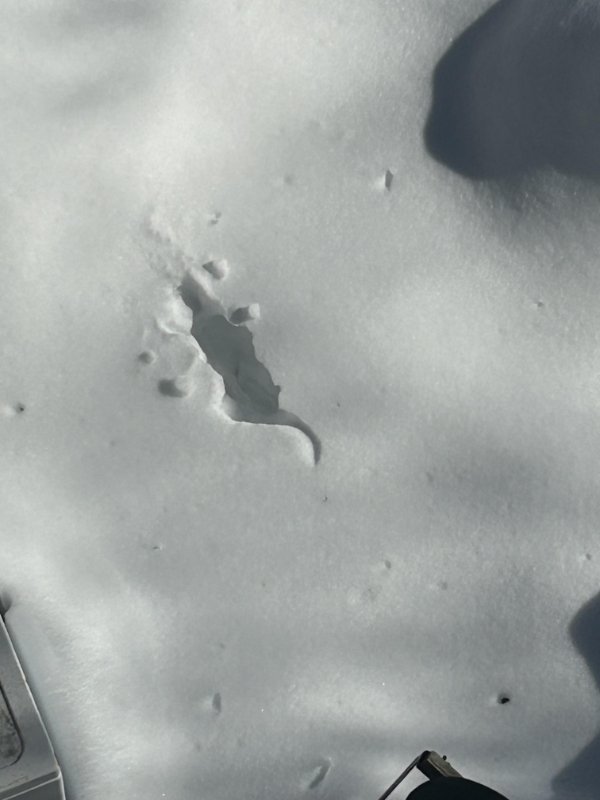 Interesting Finds (24 pics)