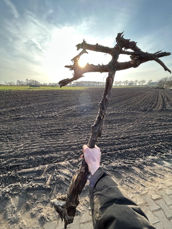 Epic Sticks (25 pics) Epic Sticks (25 pics)