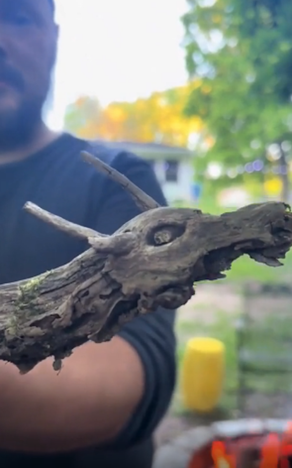 Epic Sticks (25 pics) Epic Sticks (25 pics)