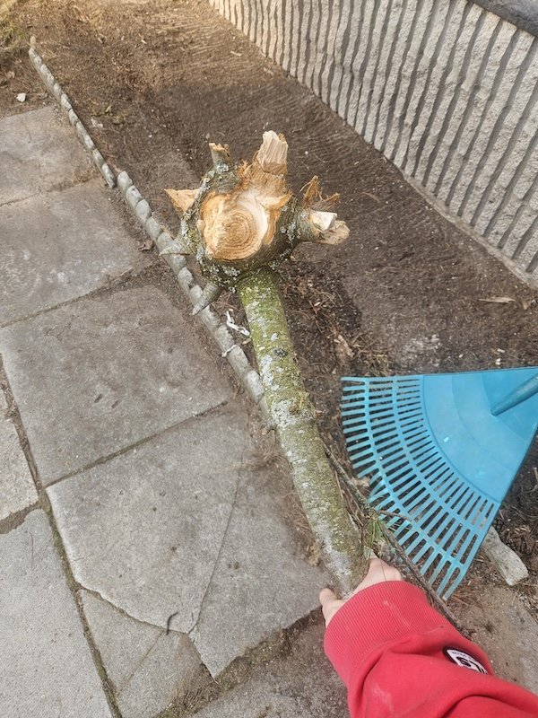 Epic Sticks (25 pics) Epic Sticks (25 pics)