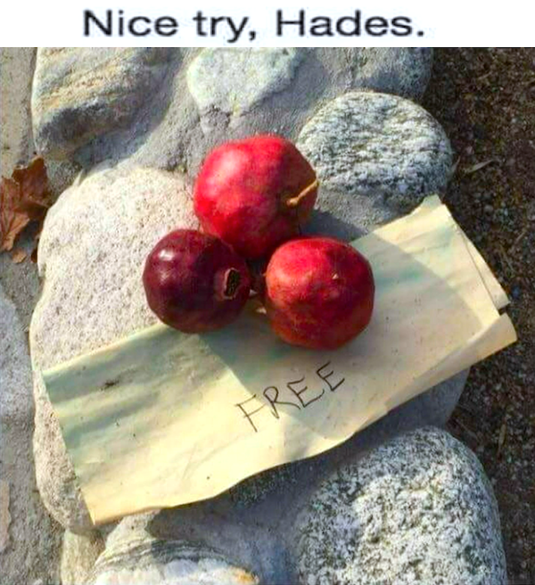 Funny Memes (36 pics)