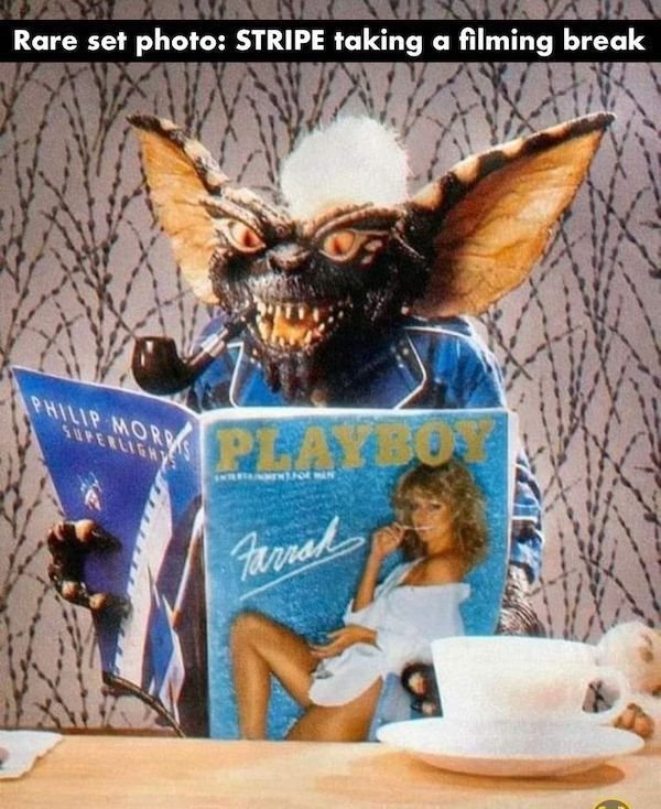 Funny Memes (36 pics) Funny Memes (36 pics)