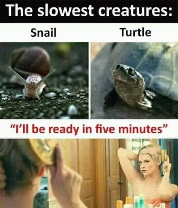 Funny Memes (36 pics) Funny Memes (36 pics)