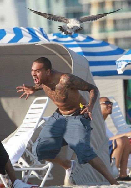 Strange People On The Beaches (29 pics) Strange People On The Beaches (29 pics)