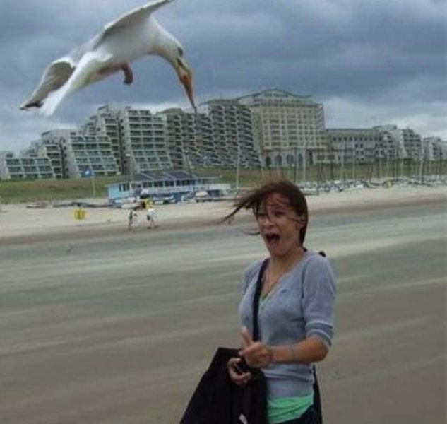 Strange People On The Beaches (29 pics) Strange People On The Beaches (29 pics)