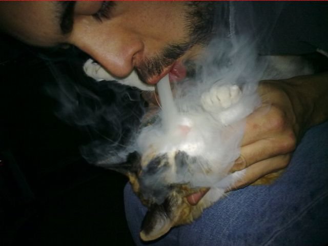 Annoying Finds And Situations (42 pics) Annoying Finds And Situations (42 pics)