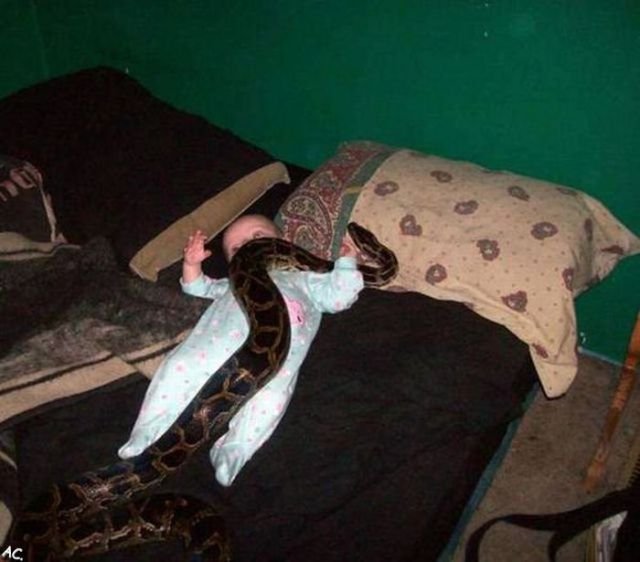 Annoying Finds And Situations (42 pics) Annoying Finds And Situations (42 pics)