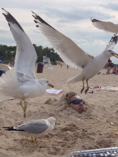 Strange People On The Beaches (29 pics) Strange People On The Beaches (29 pics)