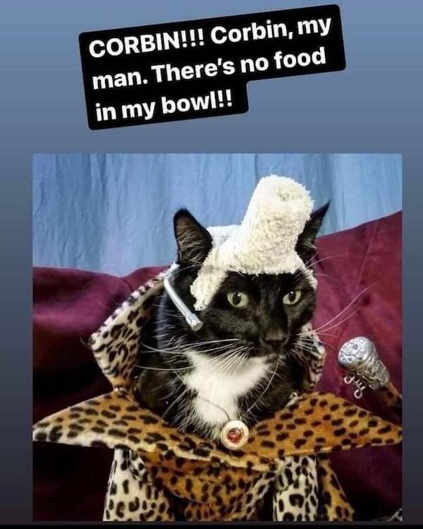 Movie Memes (27 pics)