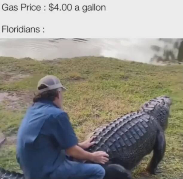 Memes About Gasoline Price (25 pics) Memes About Gasoline Price (25 pics)