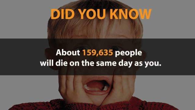Interesting Facts (20 pics)