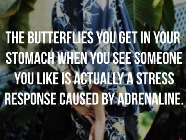 Psychological Facts (26 pics)