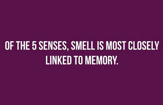 Psychological Facts (26 pics)