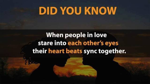 Interesting Facts (20 pics)