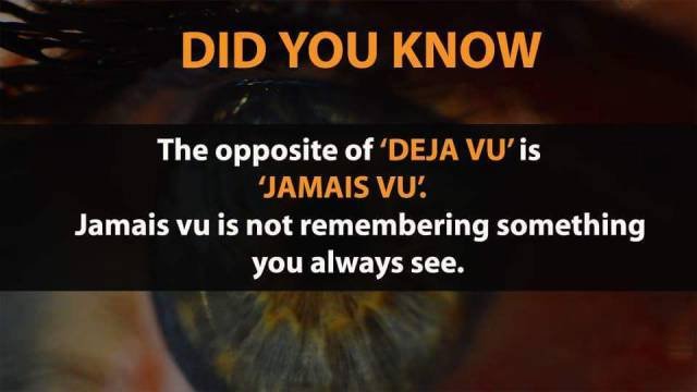 Interesting Facts (20 pics)