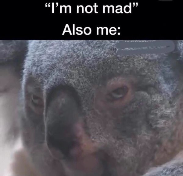 Funny Memes (30 pics) Funny Memes (30 pics)