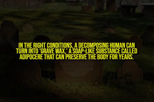 Creepy Facts (14 pics) Creepy Facts (14 pics)