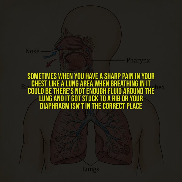 Creepy Facts (14 pics) Creepy Facts (14 pics)