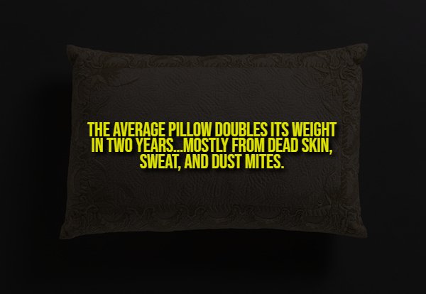 Creepy Facts (14 pics) Creepy Facts (14 pics)