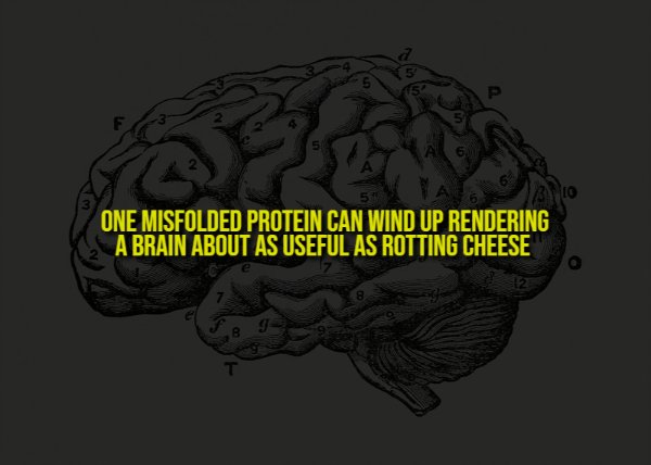 Creepy Facts (14 pics) Creepy Facts (14 pics)