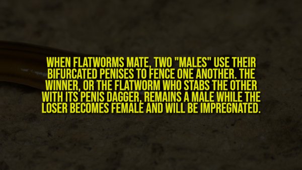 Creepy Facts (14 pics) Creepy Facts (14 pics)