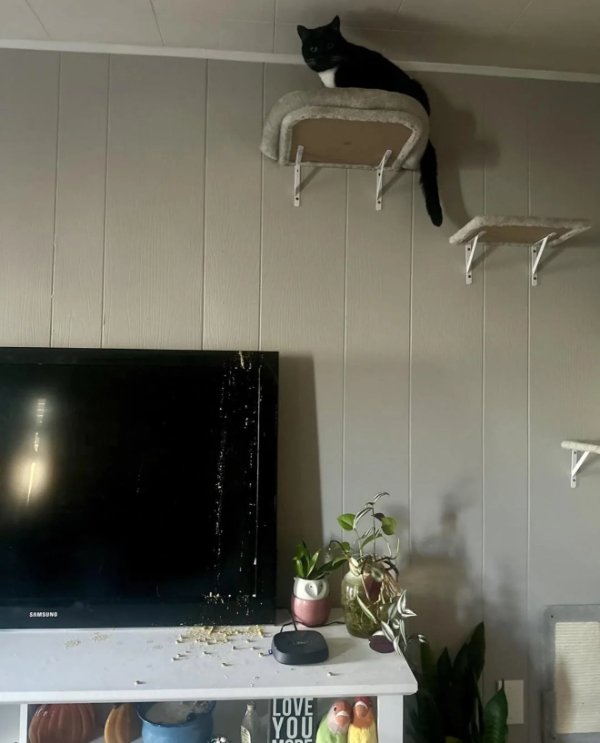 Bad Days Happen (22 pics)