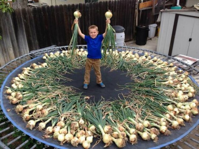 What Is Going On Here? (23 pics) What Is Going On Here? (23 pics)