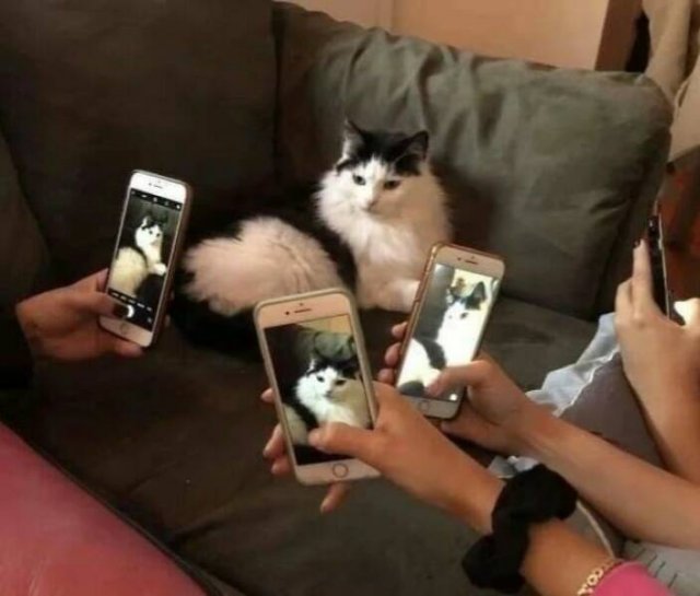 What Is Going On Here? (23 pics) What Is Going On Here? (23 pics)