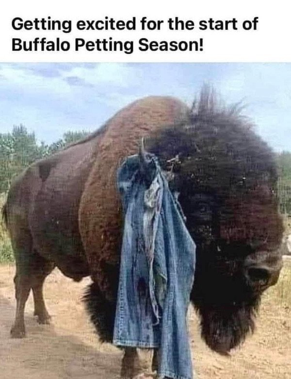 Funny Memes (27 pics) Funny Memes (27 pics)