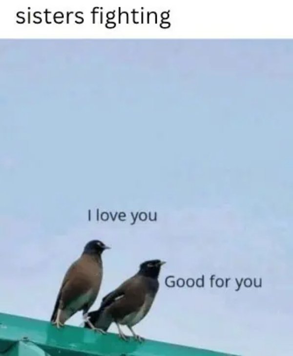 Family Memes (33 pics) Family Memes (33 pics)