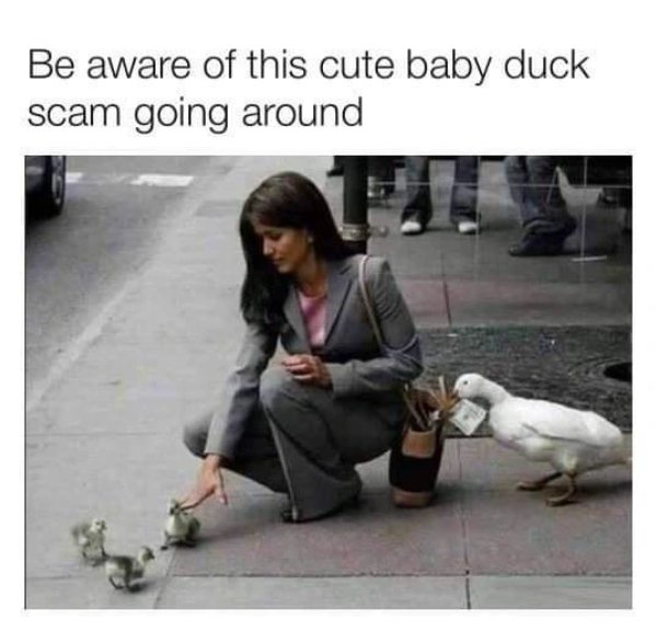 Random Memes (37 pics) Random Memes (37 pics)