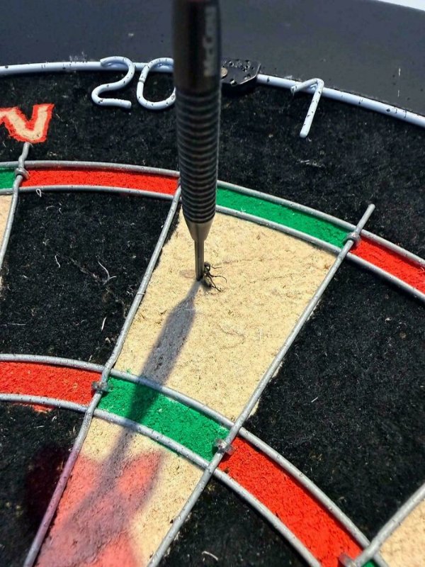 Interesting Finds (30 pics)