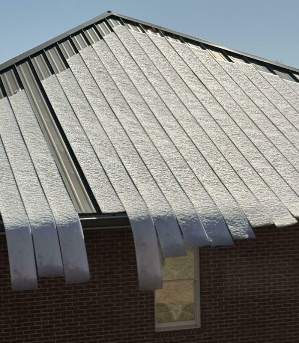 Interesting Finds (30 pics)