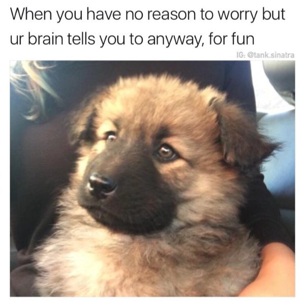 Random Memes (37 pics) Random Memes (37 pics)