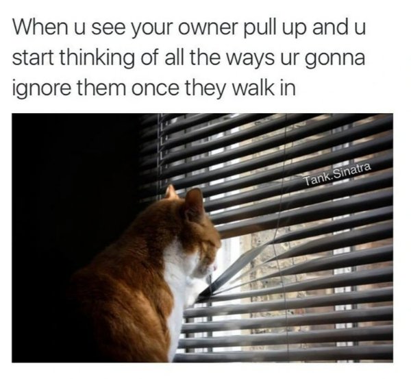 Random Memes (37 pics) Random Memes (37 pics)