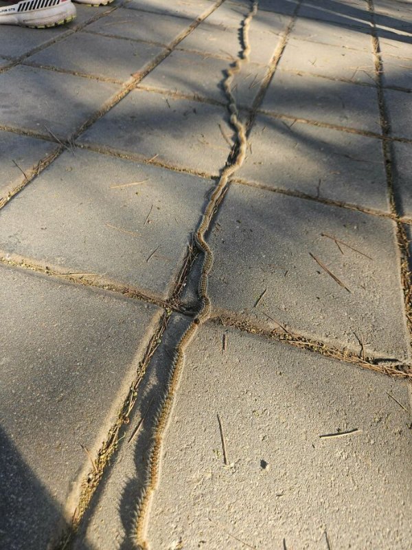 Interesting Finds (30 pics)