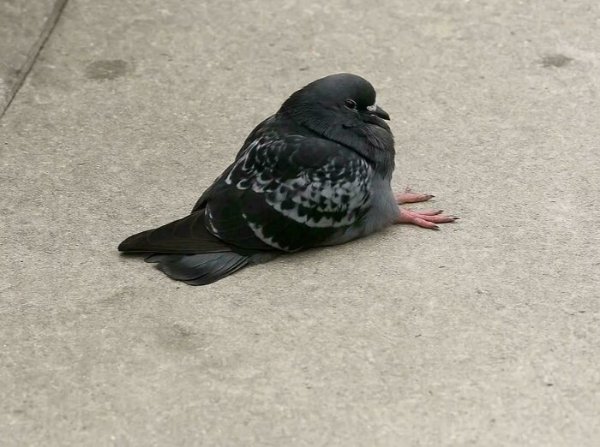 Interesting Finds (30 pics)