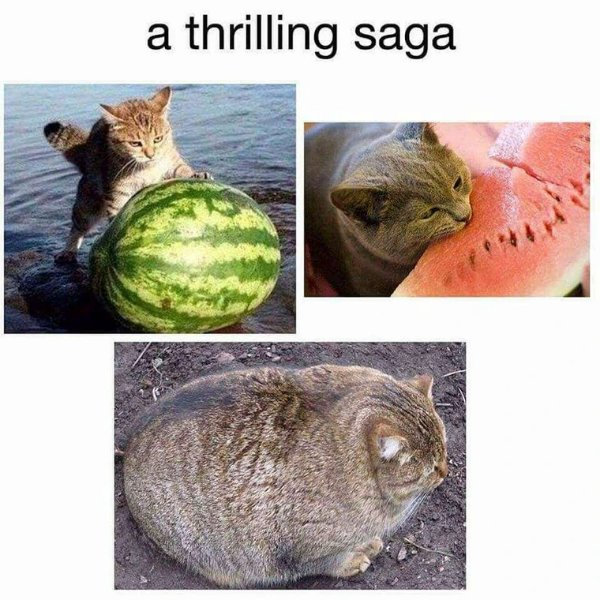 Random Memes (37 pics) Random Memes (37 pics)