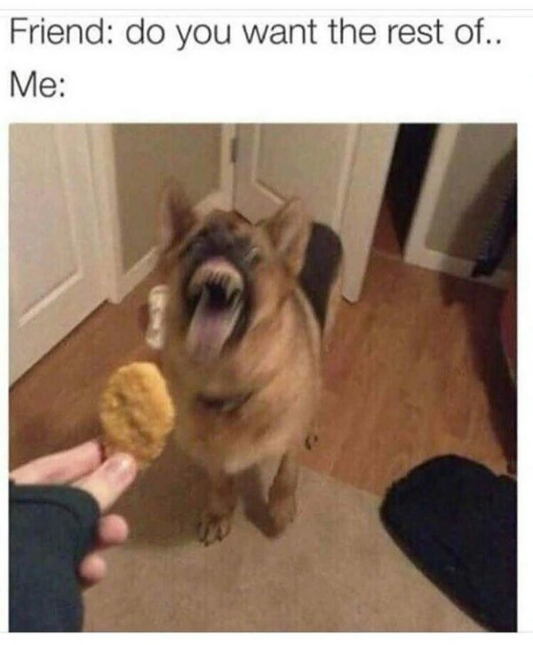 Random Memes (37 pics) Random Memes (37 pics)