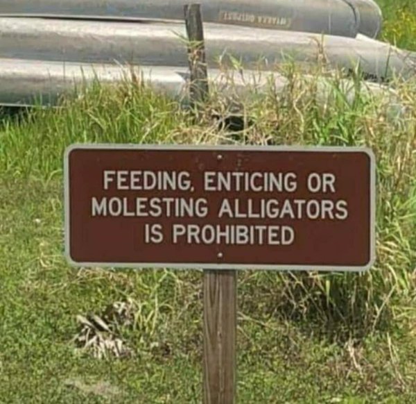 Random Memes (37 pics) Random Memes (37 pics)