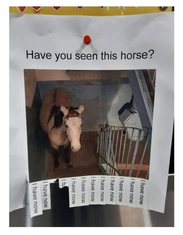 Random Memes (37 pics) Random Memes (37 pics)