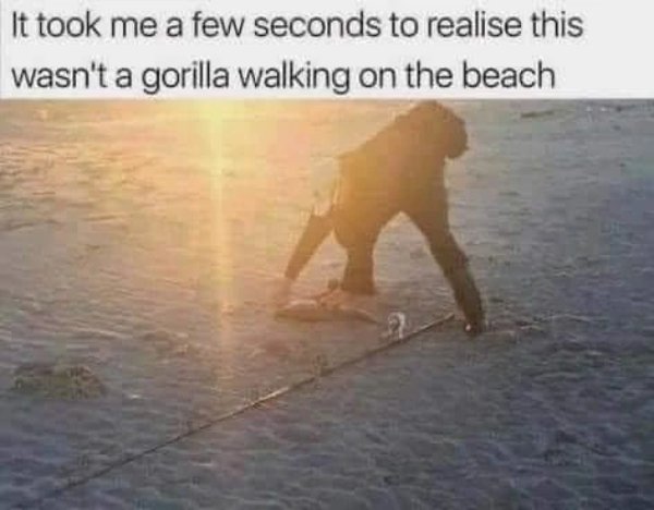 Random Memes (37 pics) Random Memes (37 pics)