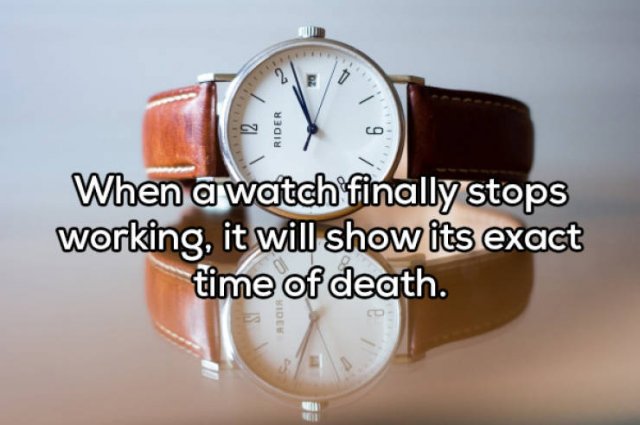 Odd Thoughts (17 pics) Odd Thoughts (17 pics)