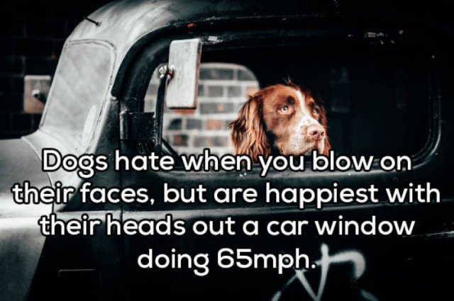 Odd Thoughts (17 pics) Odd Thoughts (17 pics)