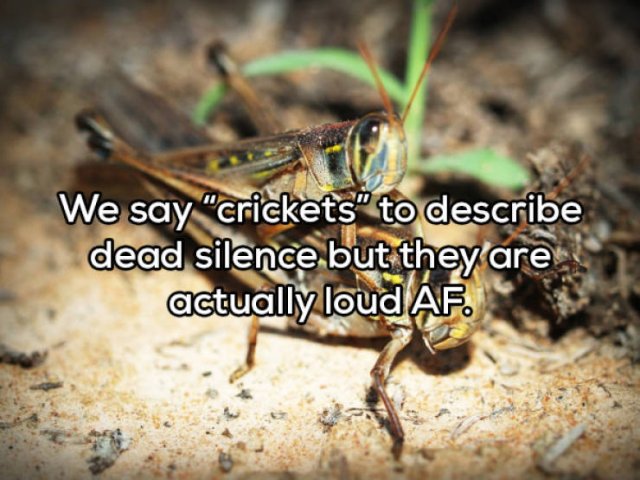 Odd Thoughts (17 pics) Odd Thoughts (17 pics)