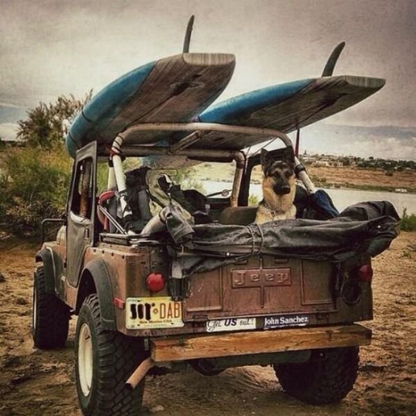 Atmospheric Hiking Photos (41 pics) Atmospheric Hiking Photos (41 pics)