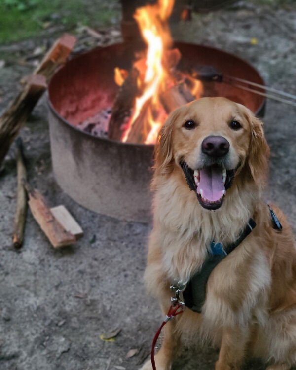 Atmospheric Hiking Photos (41 pics) Atmospheric Hiking Photos (41 pics)